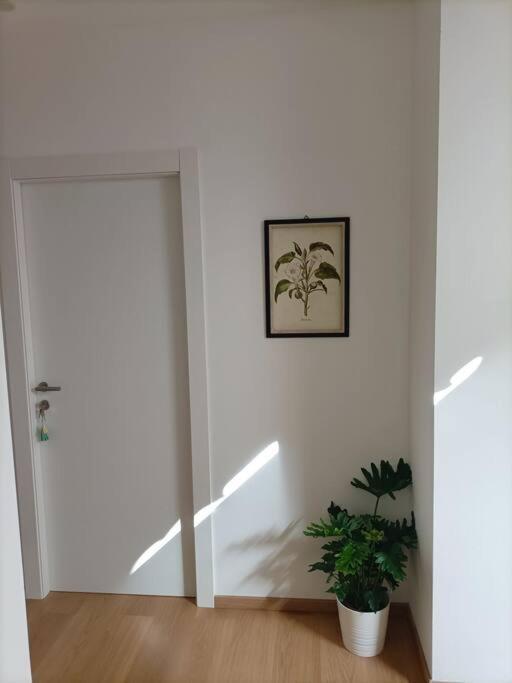 Loving My Rooms 1 - Deliziosa Mansarda In Centro 戈里齐亚 外观 照片